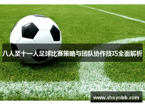 八人至十一人足球比赛策略与团队协作技巧全面解析